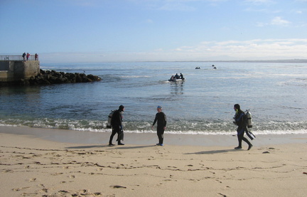 readying for dive