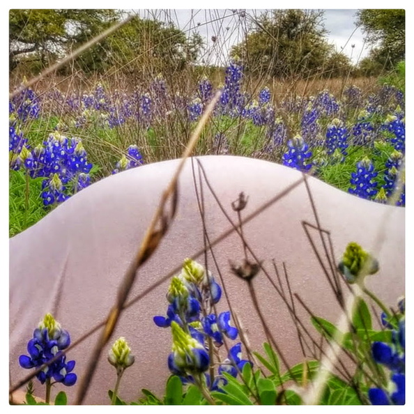 fetus in bluebonnets.jpg