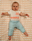 30 week annie