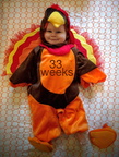 33 week annie