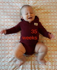 35 week annie