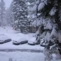 13_snow_in_the_morning.jpg