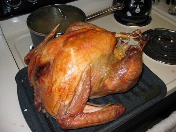 turkey 3
