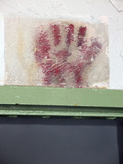 IMG 0659