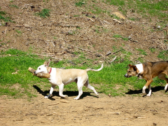 IMG_6896.jpg