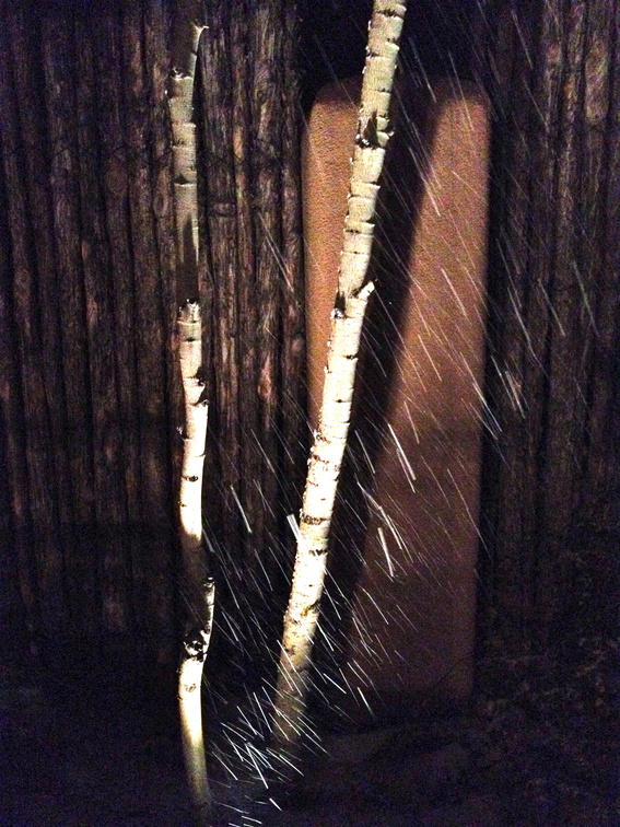 IMG 3329