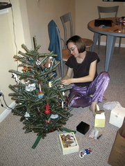 IMG 1742 t