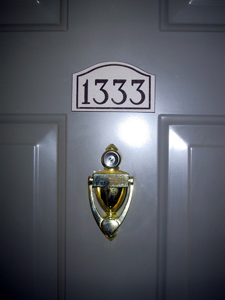 IMG 1665 t