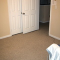 IMG 1745 t