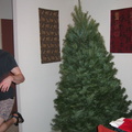 christmas tree 3