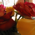 roses and kitchen