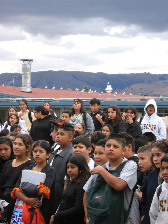 crowd 3 jpg