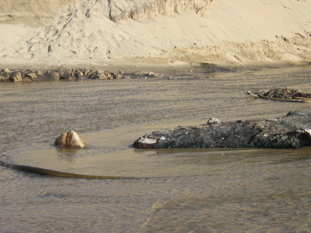 beach stream