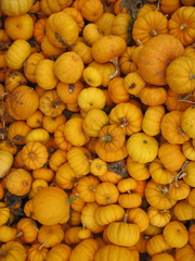 IMG 6758