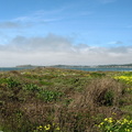 IMG 3483