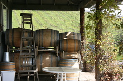 winebarrels