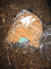 IMG 4646