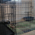 IMG 5122