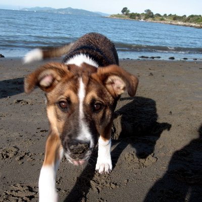 Albany Bulb
