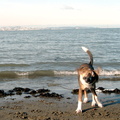 IMG_5529.JPG