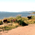 IMG_5533.JPG