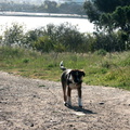 IMG_5537.JPG