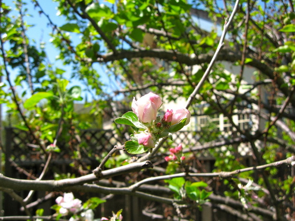 IMG_7034.jpg