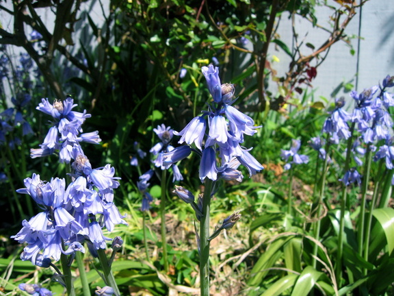 IMG_7039.jpg