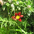 IMG_7040.jpg