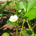 IMG_7053.jpg
