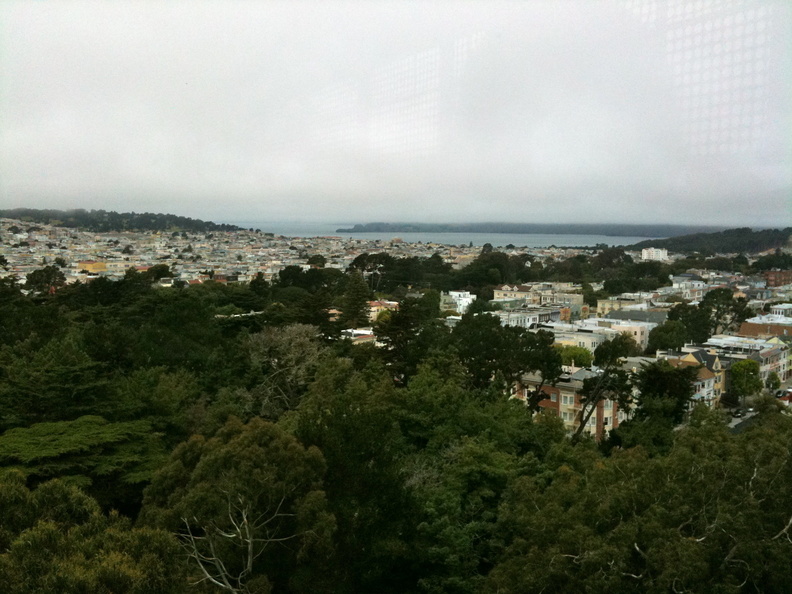 IMG 0463