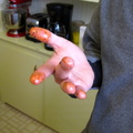 IMG 1173