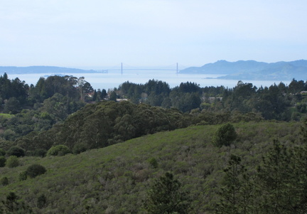 IMG 0771