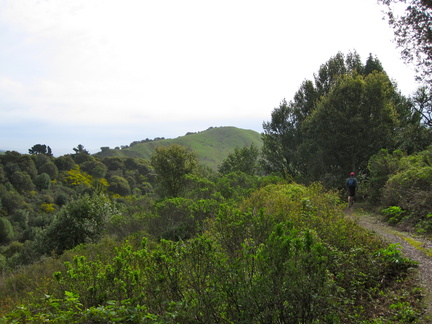 IMG 0786