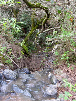 IMG 0788