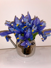 irises JPG