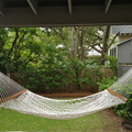 IMG 4417