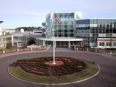 IMG 1770 t