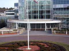 IMG 1772 t