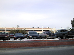 IMG 1773 t