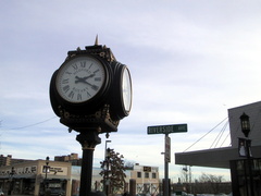 IMG 1774 t