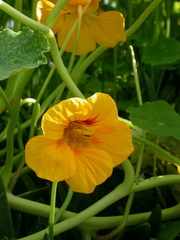 PICT0009