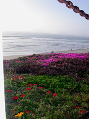 PICT0086