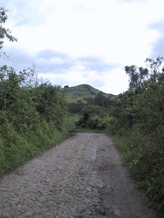 IMG 2835
