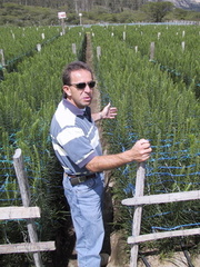 IMG 2859 001