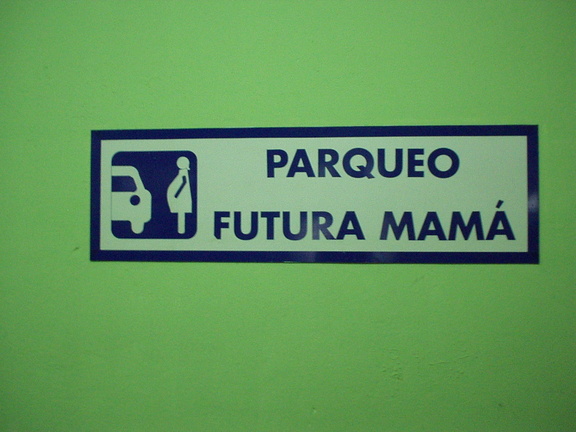 P6110014