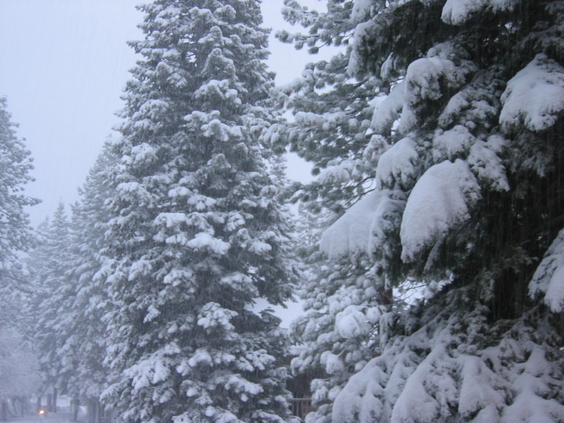 14 snow in the morning
