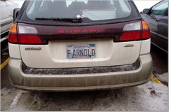 F Arnold