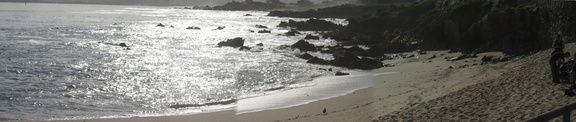 beach pan