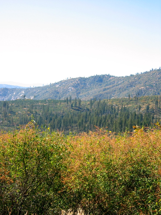 IMG_6805.JPG